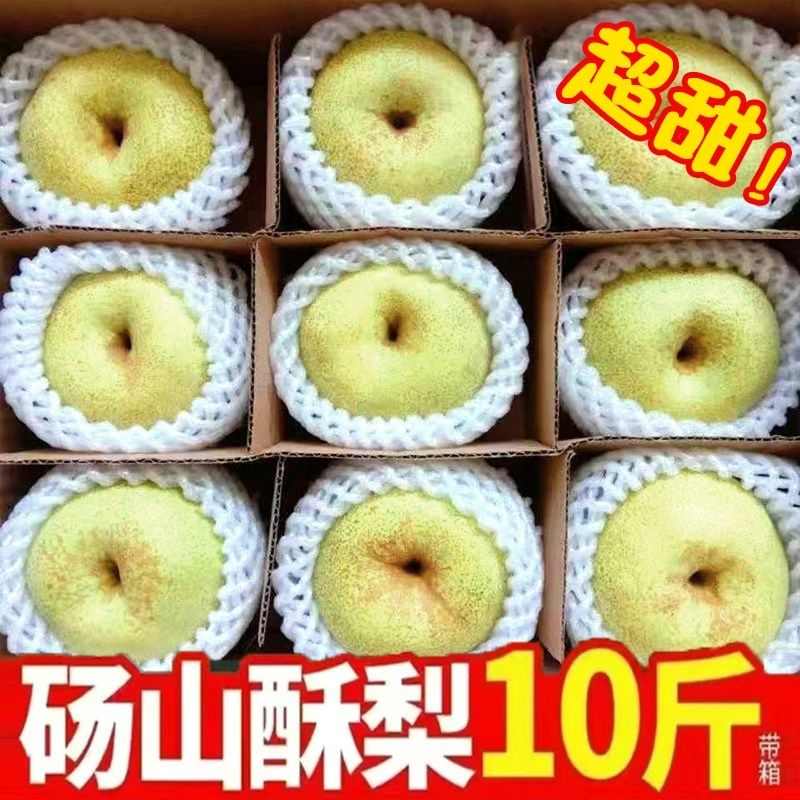 安徽正宗砀山梨酥梨孕妇水果梨子新鲜10斤整箱汤山梨雪梨当季现摘
