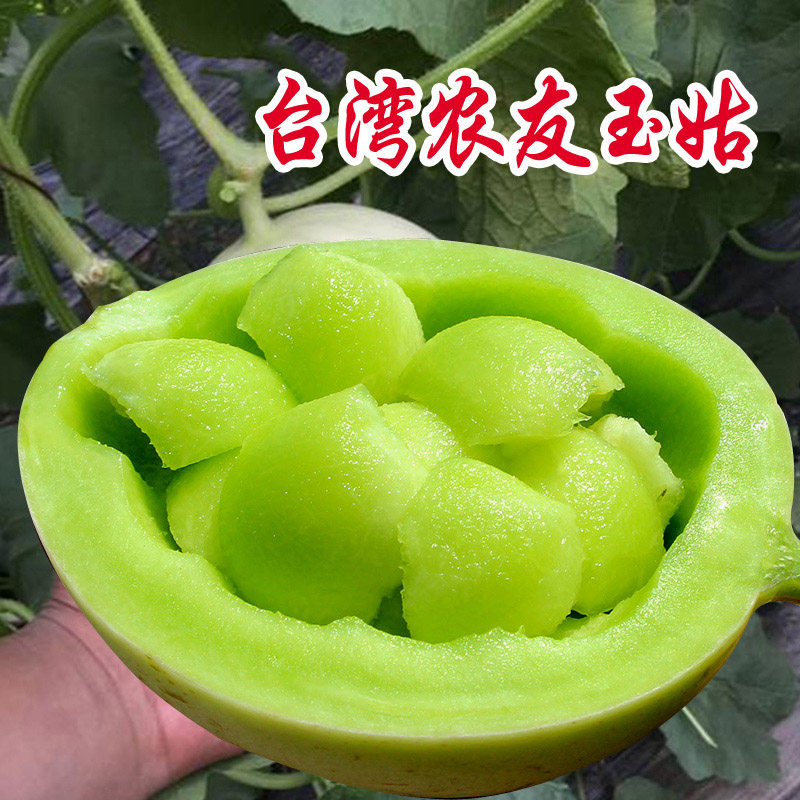 台湾农友玉姑白皮糖度高甜瓜图片