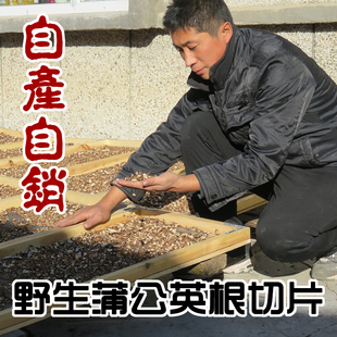 野生蒲公英根 250克 婆婆丁