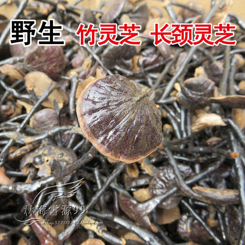 野生竹灵芝 长颈灵芝  250克