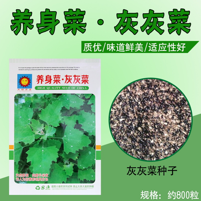 天旸农业养生菜新鲜野生灰灰菜 灰苋菜 野灰菜灰挑菜 环保山野菜