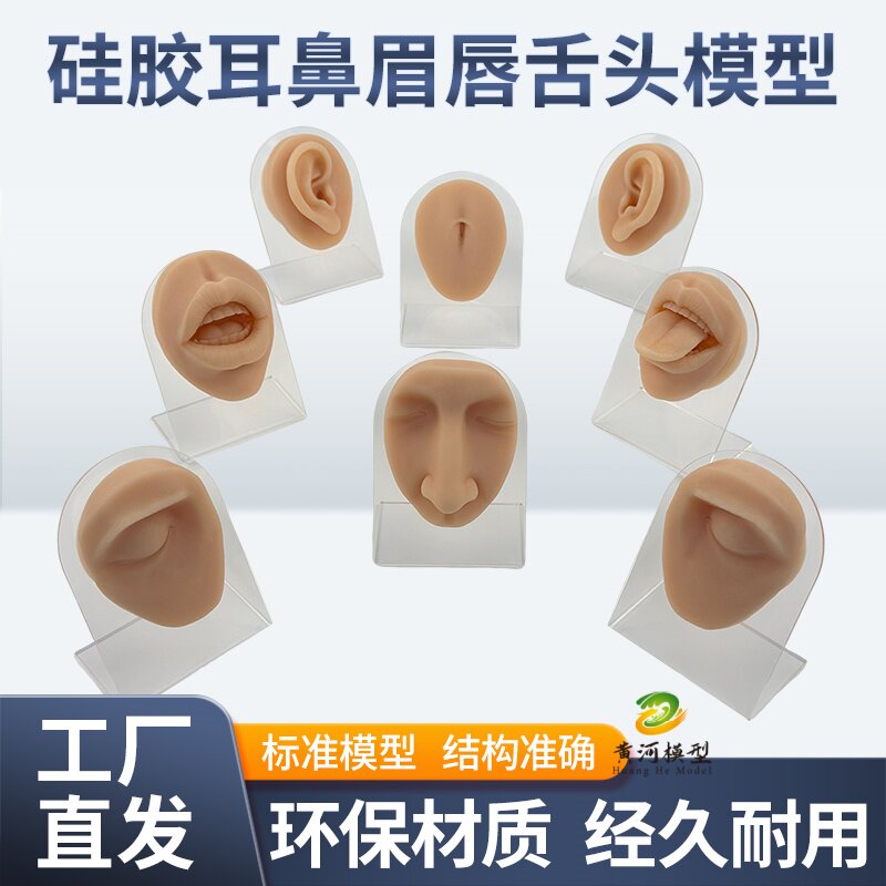 仿真硅胶人体五官模型眼耳口鼻脸皮外科缝合模块眉骨舌头嘴唇脐钉