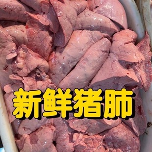 猪肺喂狗便宜肉饲料肺冷冻无管甲鱼龟鸟鹰螃蟹龙虾养殖用猪肺批发