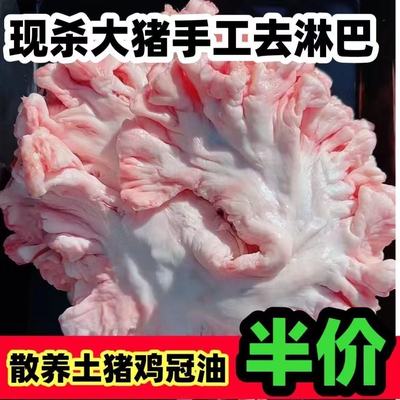 现杀新鲜鸡冠油黑猪散养鸡冠子油猪花油花边非板油猪油去淋巴商用