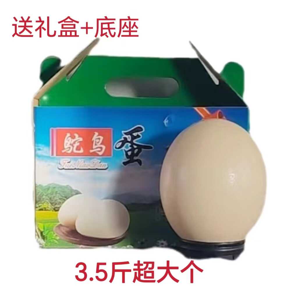 首单直降大号鸵鸟蛋驼蛋驼鸟蛋新鲜包邮送礼盒底座