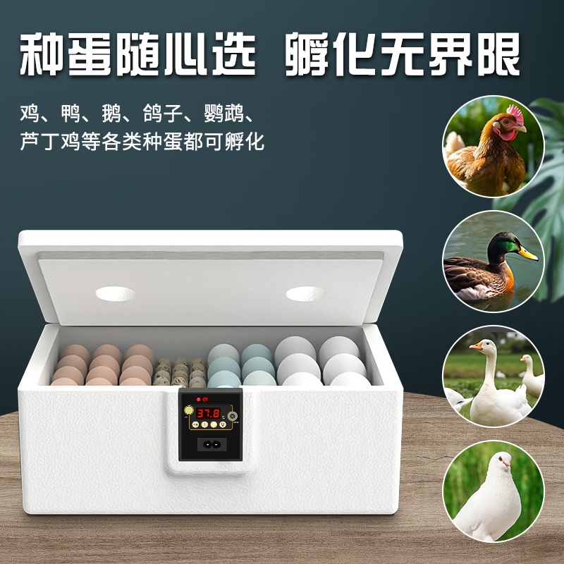 孵化器小型家用全自动智能孵蛋器迷你水床孵化机小鸡芦丁鸡孵化箱