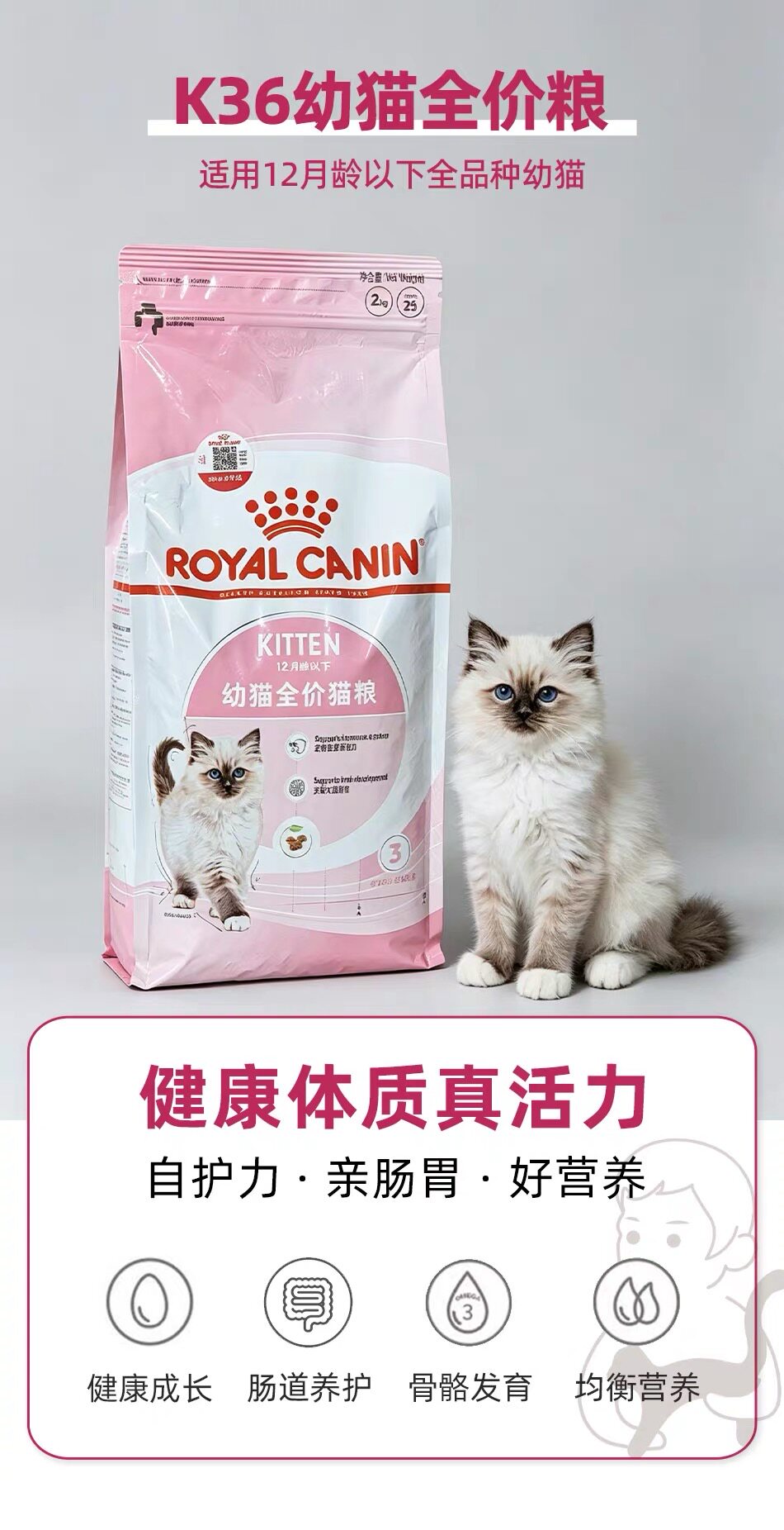 皇家猫粮幼猫奶糕粮BK34/K36离乳期孕猫幼猫英短美短蓝猫通用主粮
