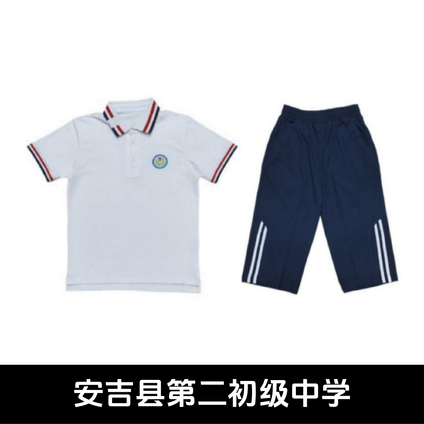 安吉二中校服夏装短袖