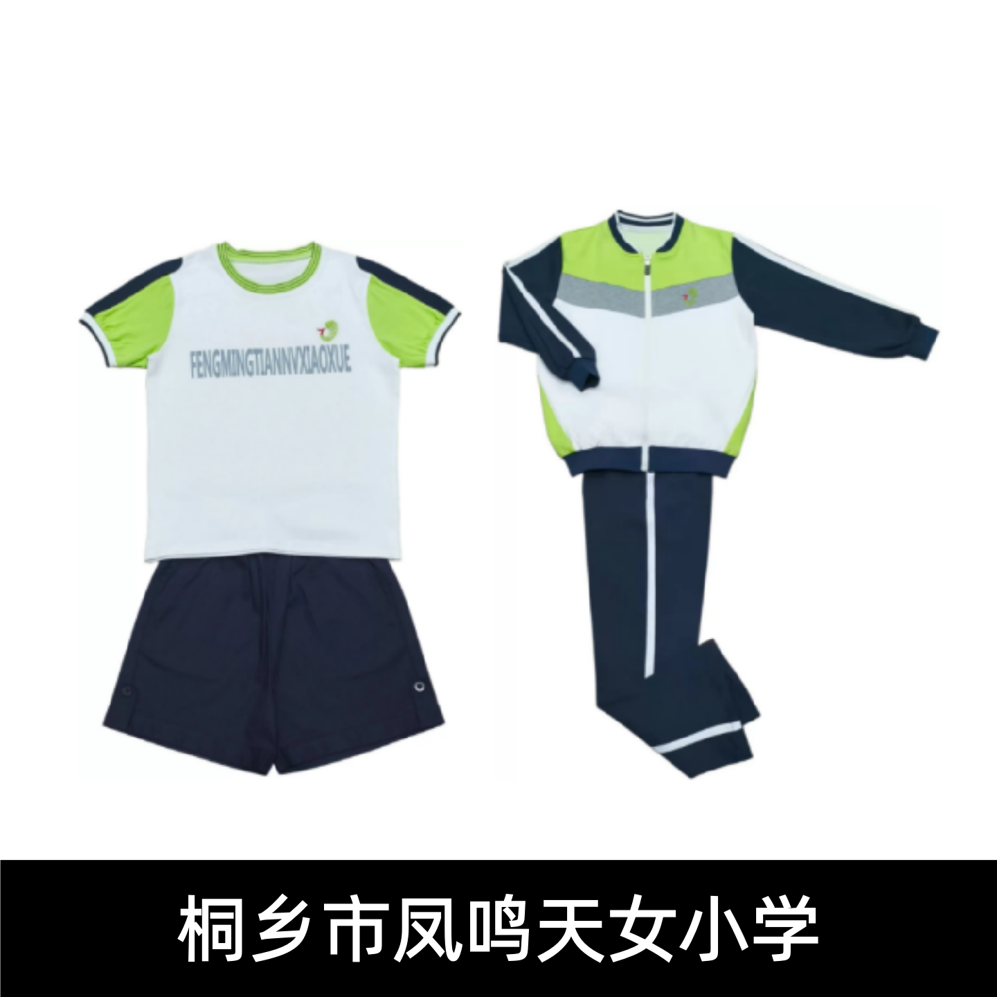 桐乡凤鸣天女小学校服夏装春秋运动装