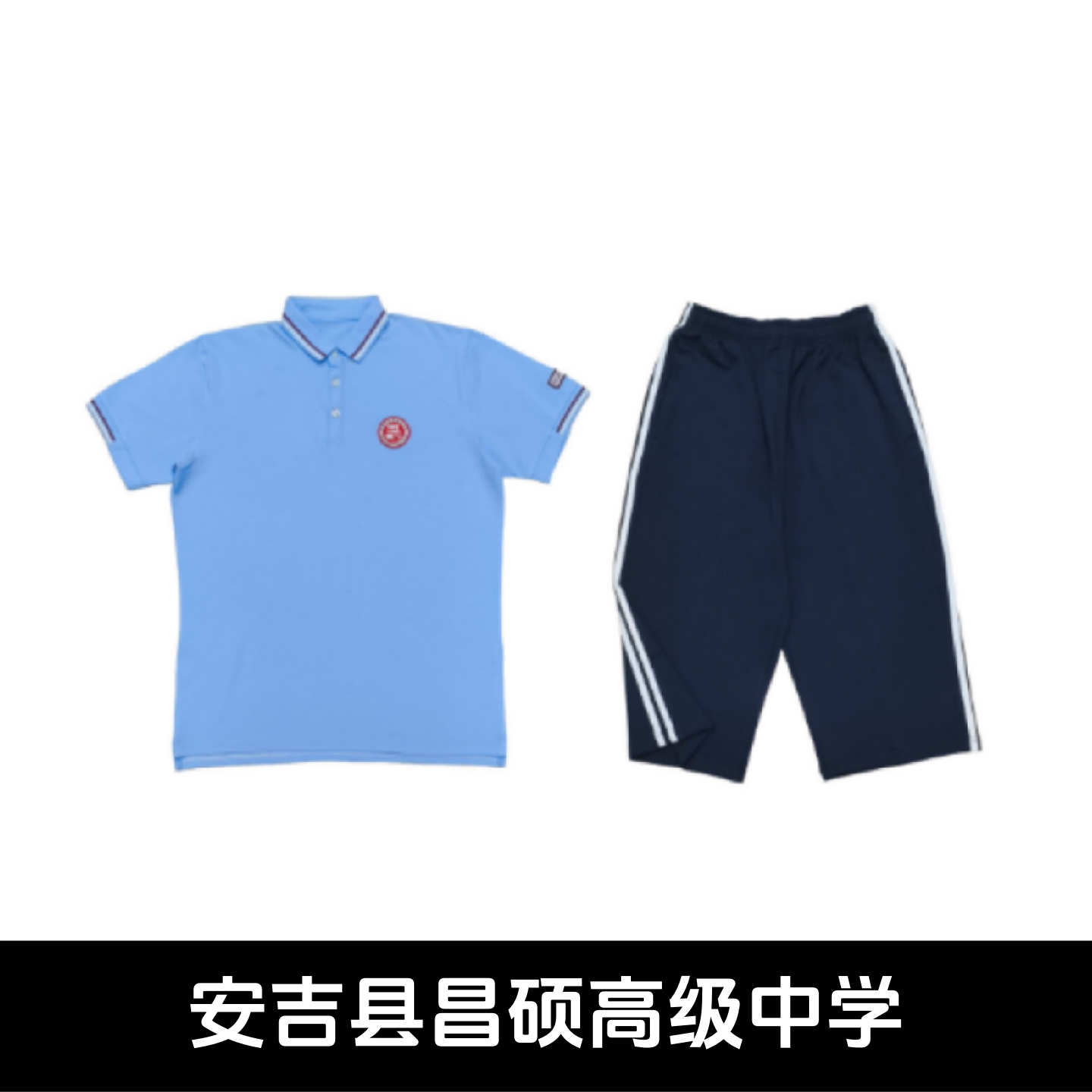 安吉昌硕高级中学校服夏装