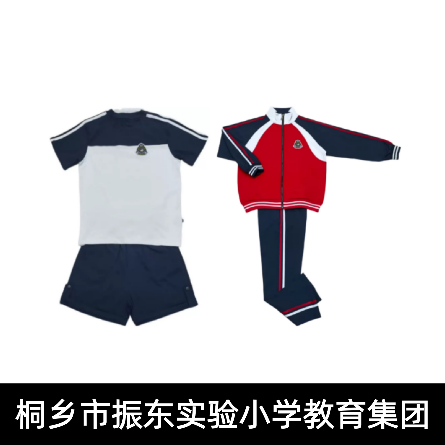 桐乡市振东实验小学校服夏装春秋运动装正装礼服