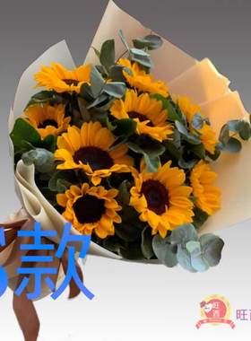 生日贺寿康乃馨广西玉林花店送花兴业县北流市玉州区同城鲜花速递