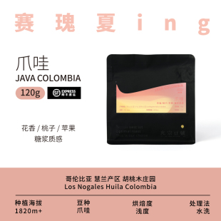 光宗豆号 24年胡桃木爪哇 手冲咖啡豆 轻微过季/特价产品