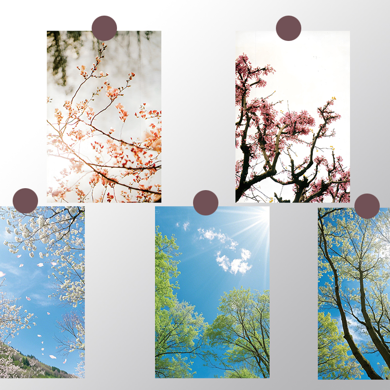 10张春光明媚墙贴卡片墙面装饰ins风房间书桌床头宿舍明信片风景#