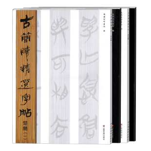 古简牍精选字帖 楚简全4册竹木简牍历代古代简牍碑帖字帖全集简牍名迹选精编合集字帖书法篆刻书籍山东美术出版社