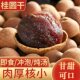 桂圆干福建莆田特产2025年新桂圆干优质带壳龙眼干500g泡水炖汤