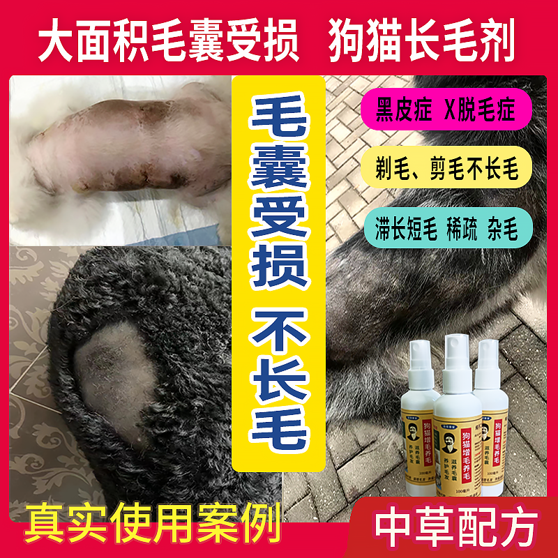狗狗长毛剂毛囊受损修复宠物剃毛不长生毛液x脱毛症博美犬黑皮症