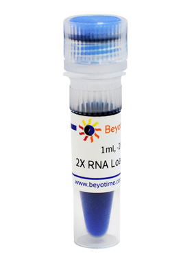 碧云天Beyotime R0215-1ml 2X RNA上样缓冲液 RNA Loading Buffer