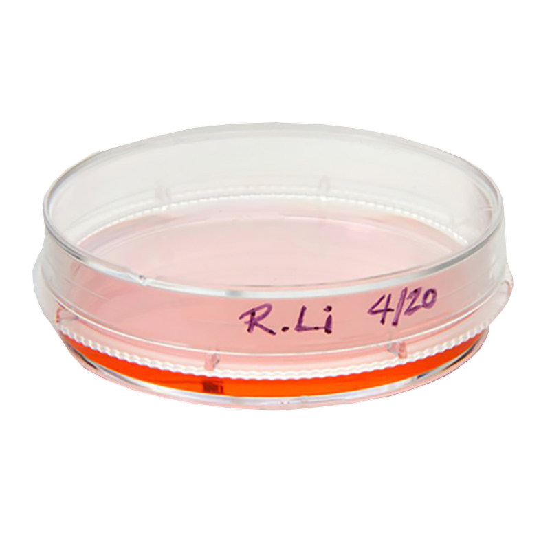 thermoNUNC 150460 150466  35mm/100mm细胞培养皿