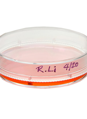 thermoNUNC 150460 150466  35mm/100mm细胞培养皿