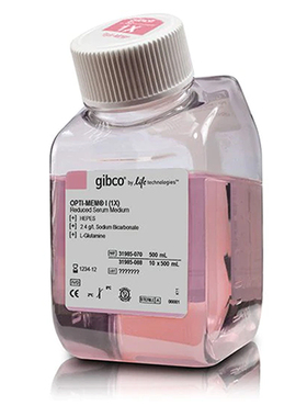 Gibco 31985-070 Opti-MEM I 减血清培养基（含L-谷氨酰胺）500ml