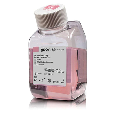 Gibco 31985-070 Opti-MEM I 减血清培养基（含L-谷氨酰胺）500ml