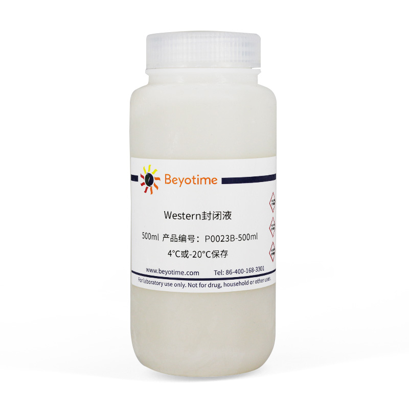 Beyotime碧云天 P0023B-100ml P0023B-500ml Western封闭液
