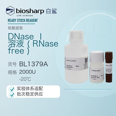 Biosharp/白鲨 BL1379A DNase Ⅰ 溶液(RNase free) 2000U