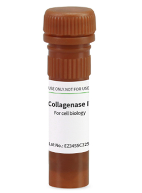 BioFroxx 2091MG100 2091GR001 胶原酶IV型Collagenase IV 2-8度