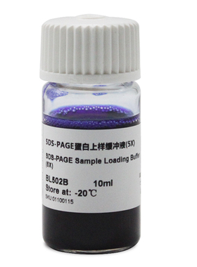白鲨 Biosharp BL502A BL502BSDS-PAGE蛋白上样缓冲液(5X)