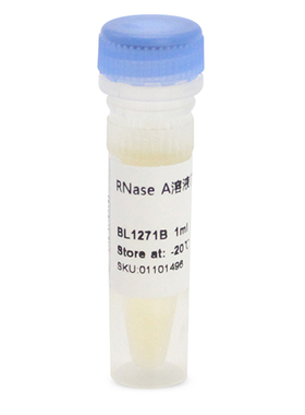 白鲨 Biosharp BL1271A BL1271B RNase A溶液(100 mg/mL) -20°