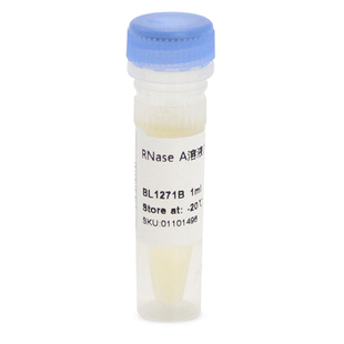 白鲨 A溶液 20° RNase BL1271B BL1271A Biosharp 100