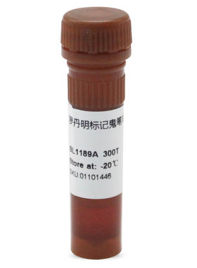 白鲨Biosharp BL1189A TRITC Phalloidin 罗丹明标记鬼笔环肽红色