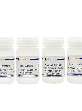 碧云天 P0023 Western溶液套装(封闭液 洗涤液 一抗和二抗稀释液)