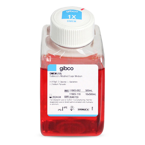 Gibco 11965-092 DMEM高糖培养基 含L-谷氨酰胺不含丙酮酸钠HEPES