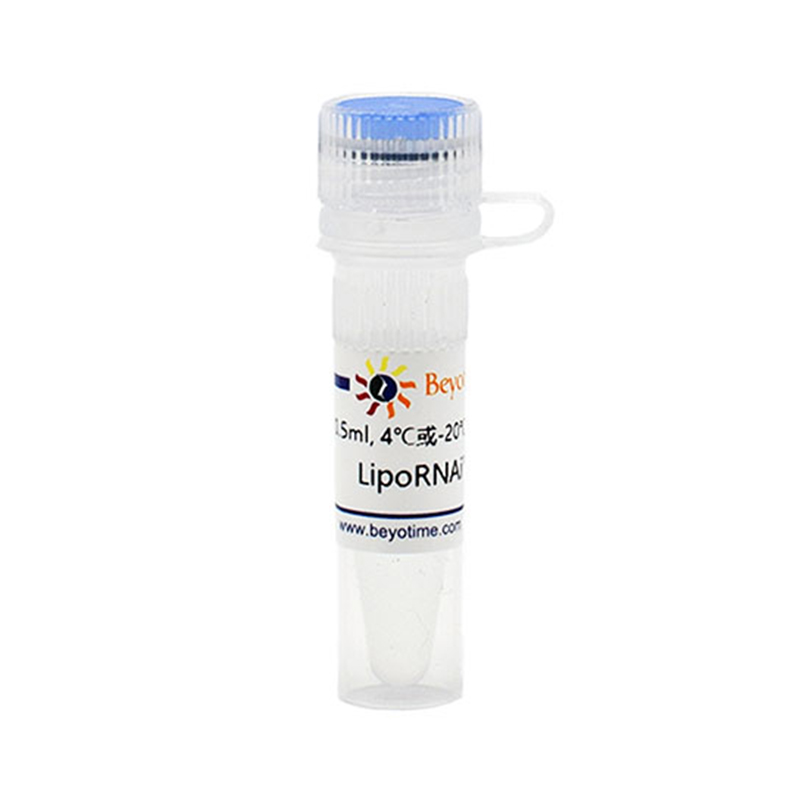 碧云天Beyotime C0535 LipoRNAi™转染试剂