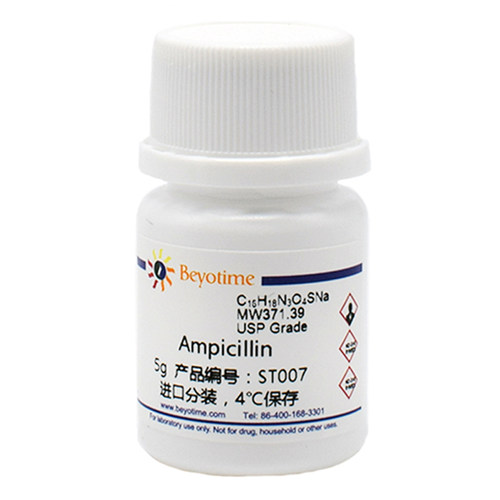 碧云天Beyotime  ST007 Ampicillin 氨苄青霉素钠 5g 4℃保存