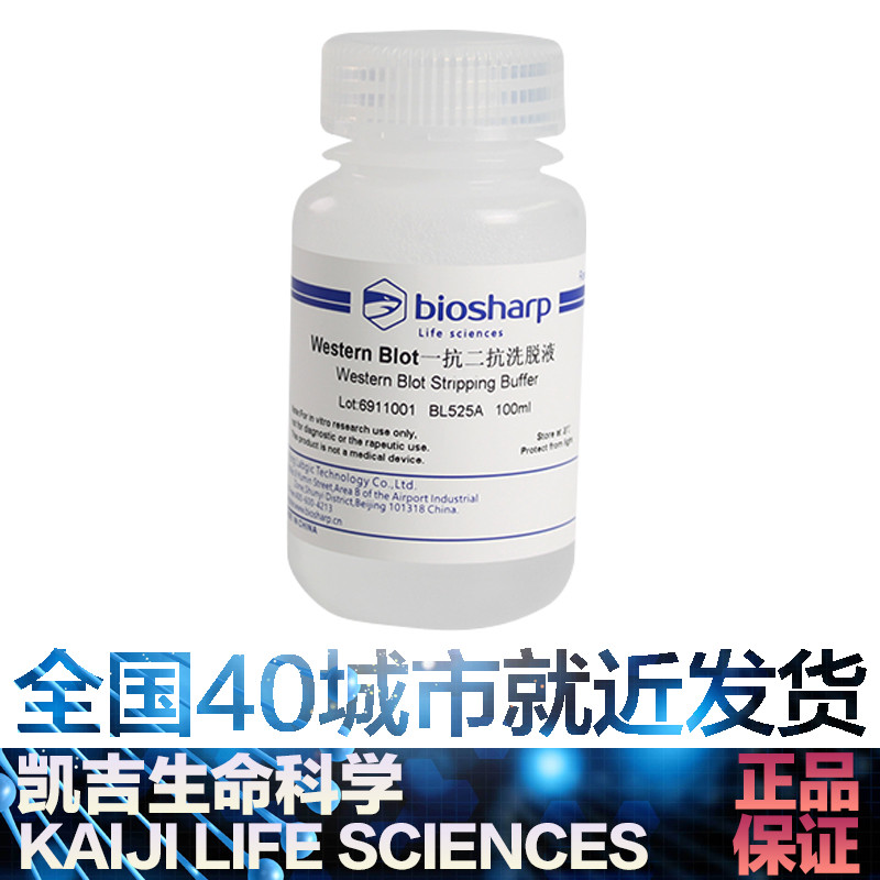 白鲨biosharp BL525A Western Blot一抗二抗洗脱液 100ml 4℃保存 工业油品/胶粘/化学/实验室用品 试剂 原图主图