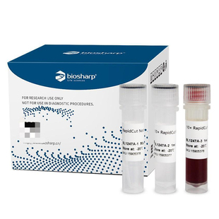白鲨 Biosharp BL1247A RapidCut NotI 快速限制性内切酶 50T