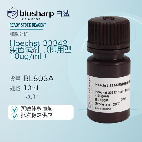白鲨Biosharp BL803A Hoechst 33342染色试剂（即用型 10ug/ml）
