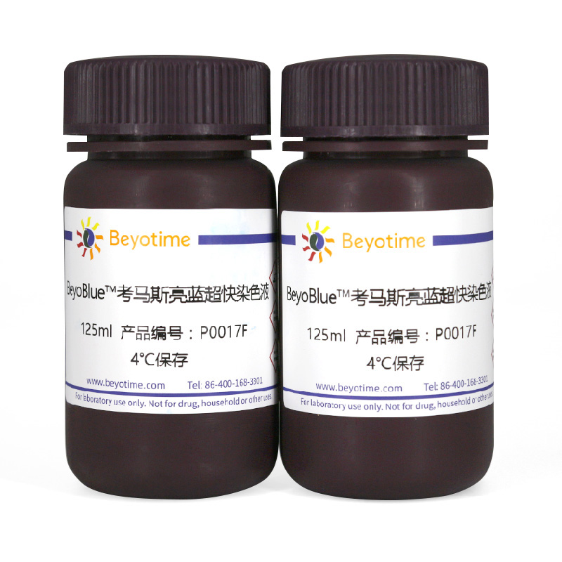 碧云天Beyotime P0017F BeyoBlue™考马斯亮蓝超快染色液 250ml