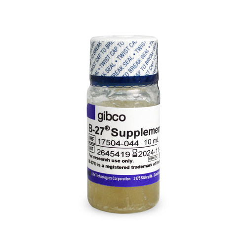 Gibco 17504-044 B-27无血清添加剂（50X）10ml