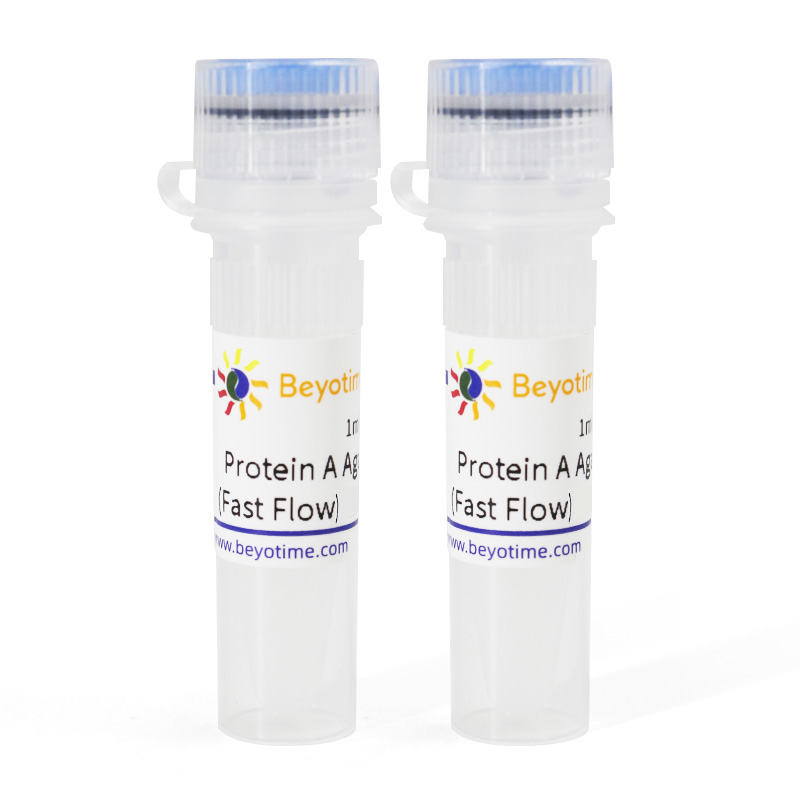 碧云天Beyotime P2006 Protein A Agarose (Fast Flow)