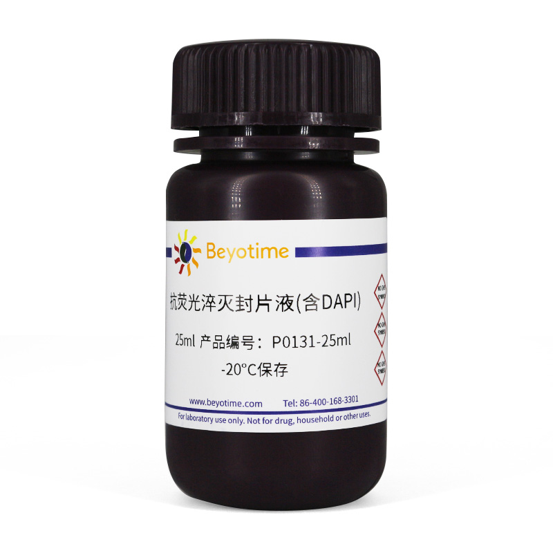 碧云天Beyotime P0131-5ml P0131-25ml 抗荧光淬灭封片液(含DAPI)