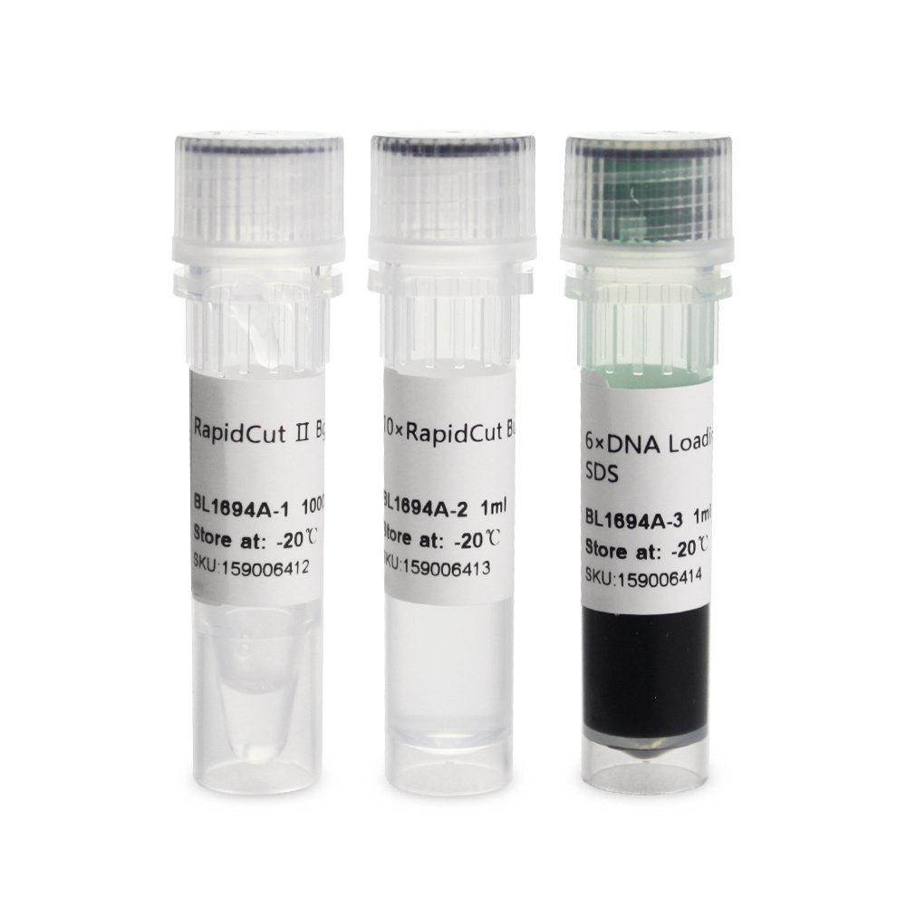 Biosharp/白鲨 BL1694A RapidCut Ⅱ BglII 快速限制性内切酶
