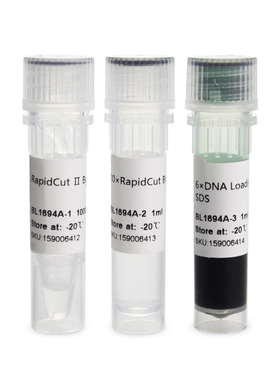 Biosharp/白鲨 BL1694A RapidCut Ⅱ BglII 快速限制性内切酶