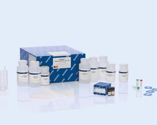 凯杰qiagen 61104 QIAamp DSP DNA Blood Mini Kit 50T
