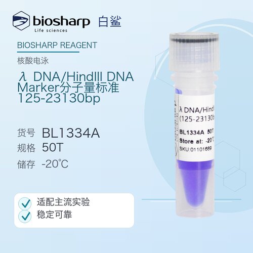 白鲨BL1334A λ DNA/HindIII DNA Marker分子量标准(125-23130bp)