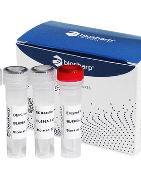 Biosharp BL696A 反转录试剂盒 (含热敏双链DNA酶)100T -20℃保存