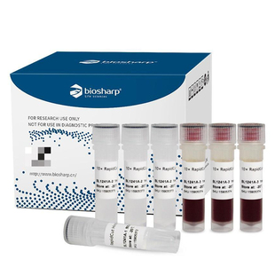 白鲨 Biosharp BL1241A RapidCut HindIII 快速限制性内切酶 500T